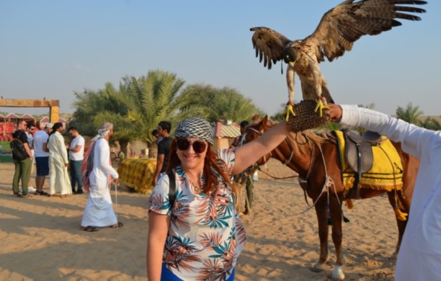 Desert Safari | Standard (Shared Transfer)