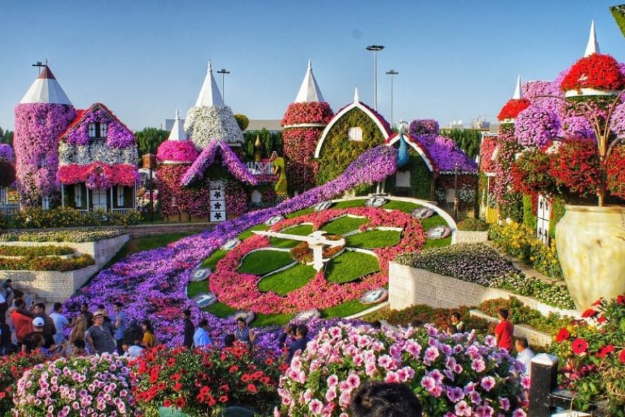 Miracle Garden