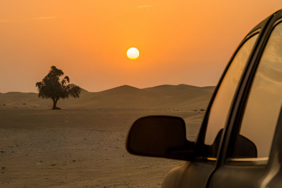 VIP Morning Dune Bashing in a Private 4×4