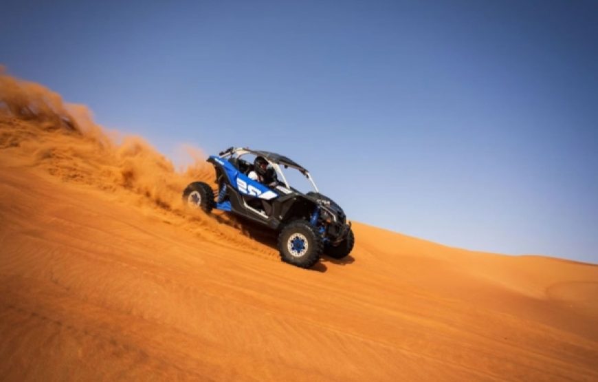 Can-Am Turbo 1000CC | Four Seater